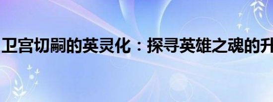 卫宫切嗣的英灵化：探寻英雄之魂的升华之旅