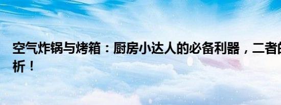 空气炸锅与烤箱：厨房小达人的必备利器，二者的区别大解析！