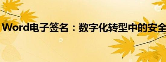 Word电子签名：数字化转型中的安全与便捷