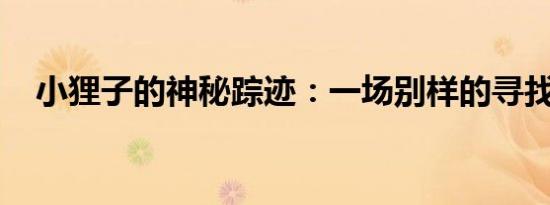 小狸子的神秘踪迹：一场别样的寻找之旅