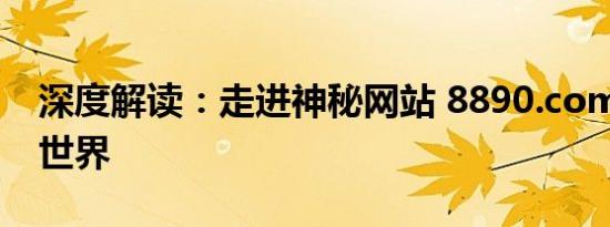 深度解读：走进神秘网站 8890.com 的幕后世界