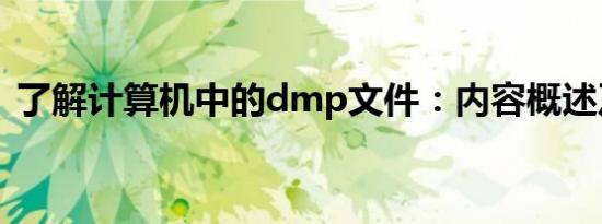 了解计算机中的dmp文件：内容概述及功能