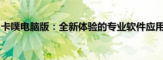 卡噗电脑版：全新体验的专业软件应用与评测