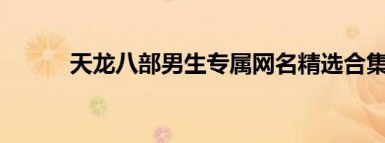 天龙八部男生专属网名精选合集