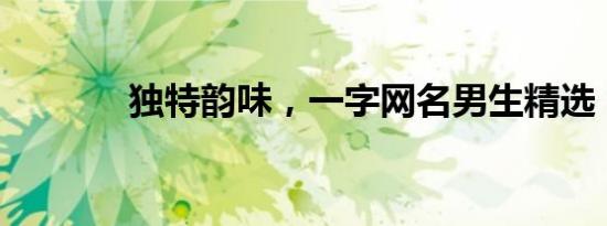 独特韵味，一字网名男生精选