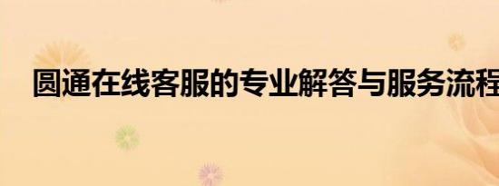圆通在线客服的专业解答与服务流程揭秘