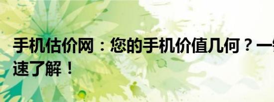手机估价网：您的手机价值几何？一键查询快速了解！