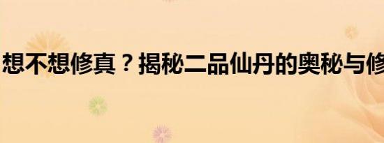 想不想修真？揭秘二品仙丹的奥秘与修炼之道