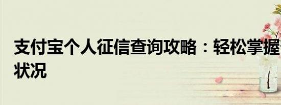 支付宝个人征信查询攻略：轻松掌握个人信用状况