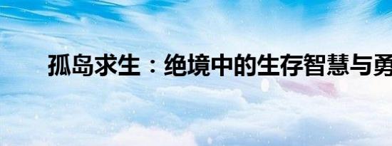 孤岛求生：绝境中的生存智慧与勇气