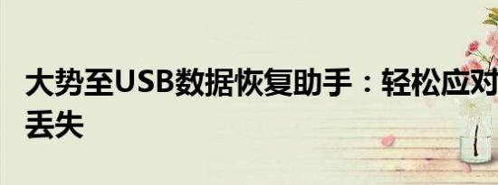 大势至USB数据恢复助手：轻松应对U盘数据丢失