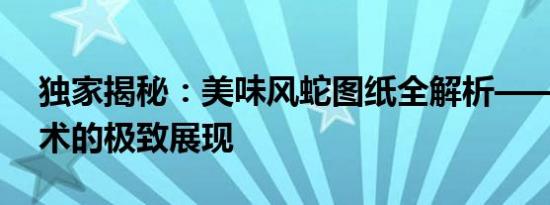 独家揭秘：美味风蛇图纸全解析——烹饪艺术的极致展现
