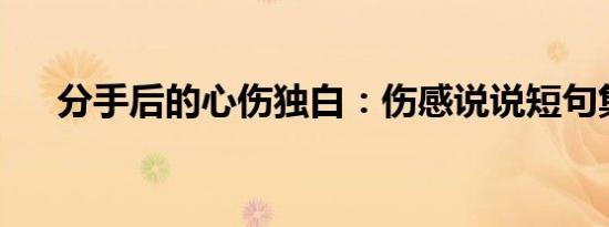 分手后的心伤独白：伤感说说短句集结