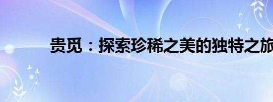 贵觅：探索珍稀之美的独特之旅