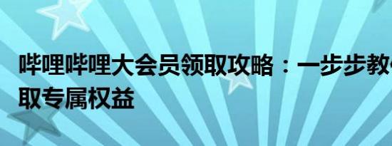 哔哩哔哩大会员领取攻略：一步步教你如何获取专属权益