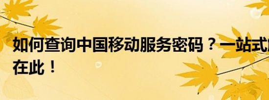 如何查询中国移动服务密码？一站式解决方案在此！