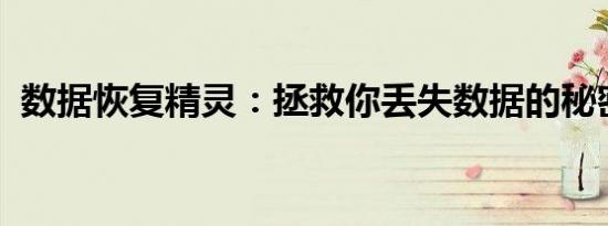 数据恢复精灵：拯救你丢失数据的秘密武器