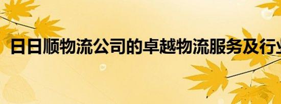 日日顺物流公司的卓越物流服务及行业洞察