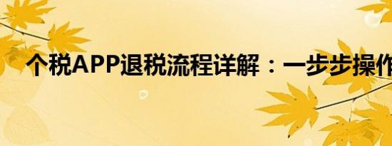 个税APP退税流程详解：一步步操作指引