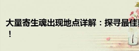 大量寄生魂出现地点详解：探寻最佳获取途径！