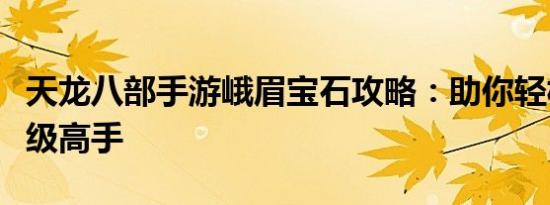 天龙八部手游峨眉宝石攻略：助你轻松成为顶级高手