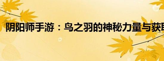 阴阳师手游：鸟之羽的神秘力量与获取攻略