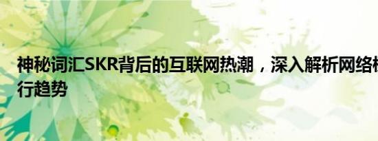 神秘词汇SKR背后的互联网热潮，深入解析网络梗起源与流行趋势