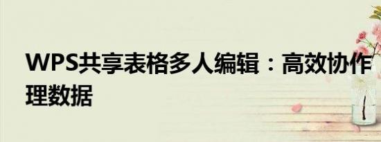 WPS共享表格多人编辑：高效协作，轻松管理数据
