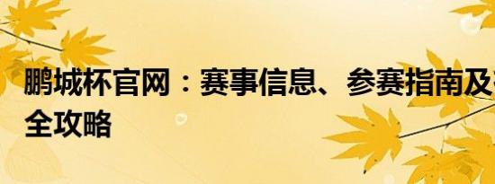 鹏城杯官网：赛事信息、参赛指南及在线报名全攻略