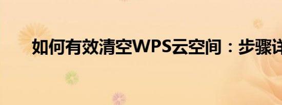 如何有效清空WPS云空间：步骤详解