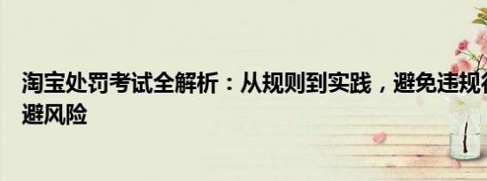 淘宝处罚考试全解析：从规则到实践，避免违规行为助你规避风险