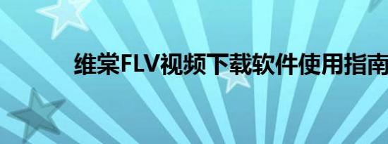 维棠FLV视频下载软件使用指南