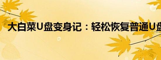 大白菜U盘变身记：轻松恢复普通U盘功能
