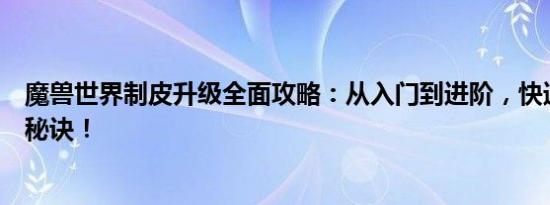 魔兽世界制皮升级全面攻略：从入门到进阶，快速掌握升级秘诀！