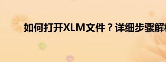 如何打开XLM文件？详细步骤解析