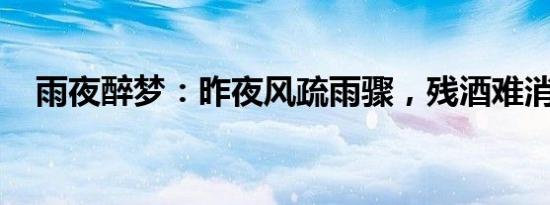 雨夜醉梦：昨夜风疏雨骤，残酒难消浓睡