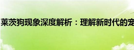莱茨狗现象深度解析：理解新时代的宠宠风暴