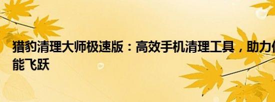 猎豹清理大师极速版：高效手机清理工具，助力你的设备性能飞跃