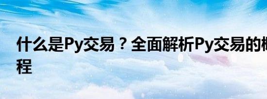 什么是Py交易？全面解析Py交易的概念与流程