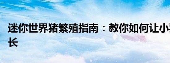 迷你世界猪繁殖指南：教你如何让小猪快乐成长