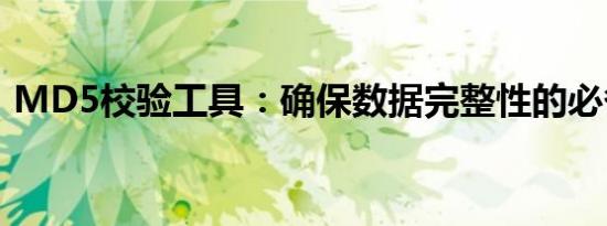 MD5校验工具：确保数据完整性的必备利器