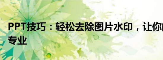 PPT技巧：轻松去除图片水印，让你的演示更专业