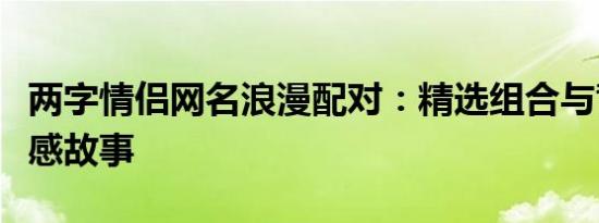 两字情侣网名浪漫配对：精选组合与背后的情感故事