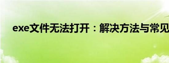 exe文件无法打开：解决方法与常见原因