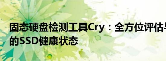 固态硬盘检测工具Cry：全方位评估与诊断您的SSD健康状态