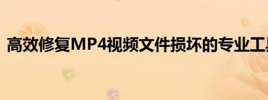 高效修复MP4视频文件损坏的专业工具推荐