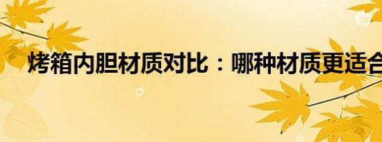 烤箱内胆材质对比：哪种材质更适合你？