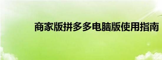 商家版拼多多电脑版使用指南