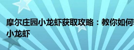 摩尔庄园小龙虾获取攻略：教你如何轻松获取小龙虾