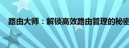 路由大师：解锁高效路由管理的秘密之门